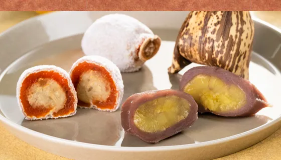 栗蒸羊羹と柿寿楽